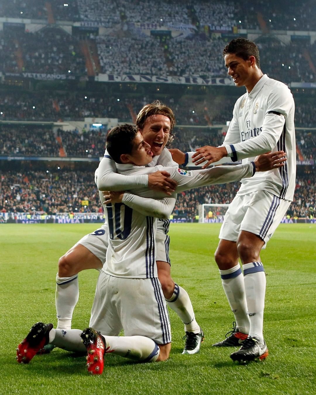 阿根廷的世 阿根廷的世